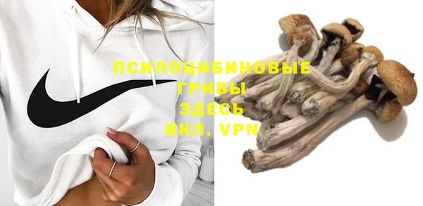 прущие грибы Балахна
