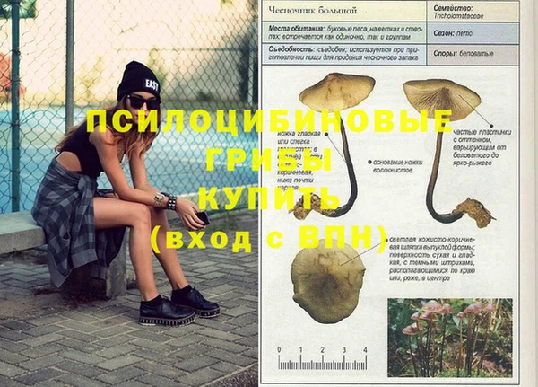 дживик Балабаново