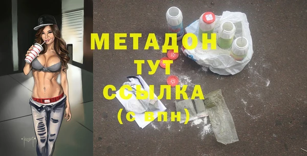 прущие грибы Балахна
