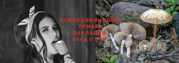 прущие грибы Балахна