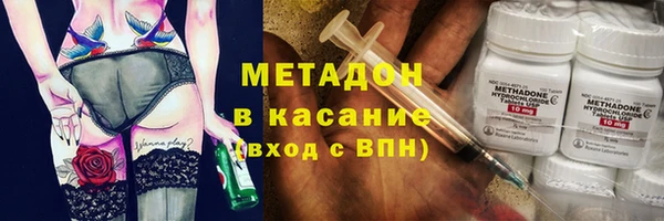 прущие грибы Балахна